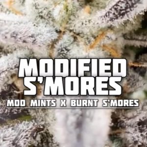 FadedLeaf-Modified S’mores Photoperiod (fem) : 3pk