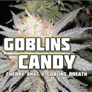 FadedLeaf-Goblins Candy Photoperiod (fem) : 3pk