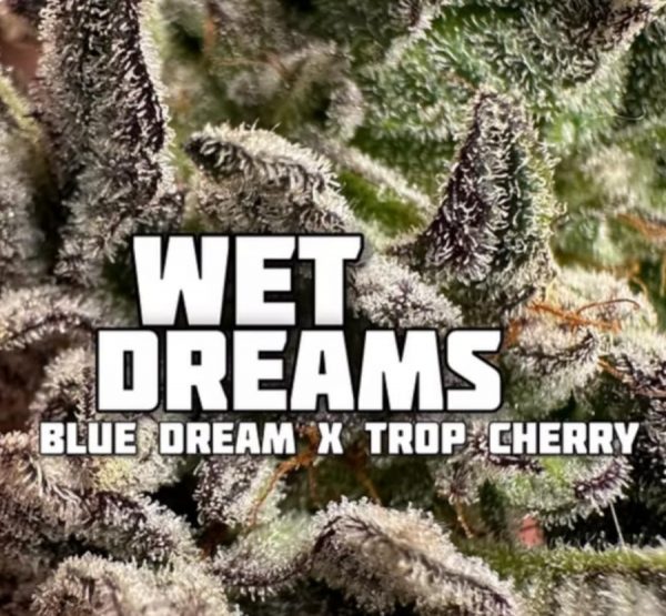FadedLeaf-Wet Dreams Photoperiod (fem) : 3pk