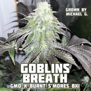 FadedLeaf-Goblins Breath Photoperiod (fem) : 3pk